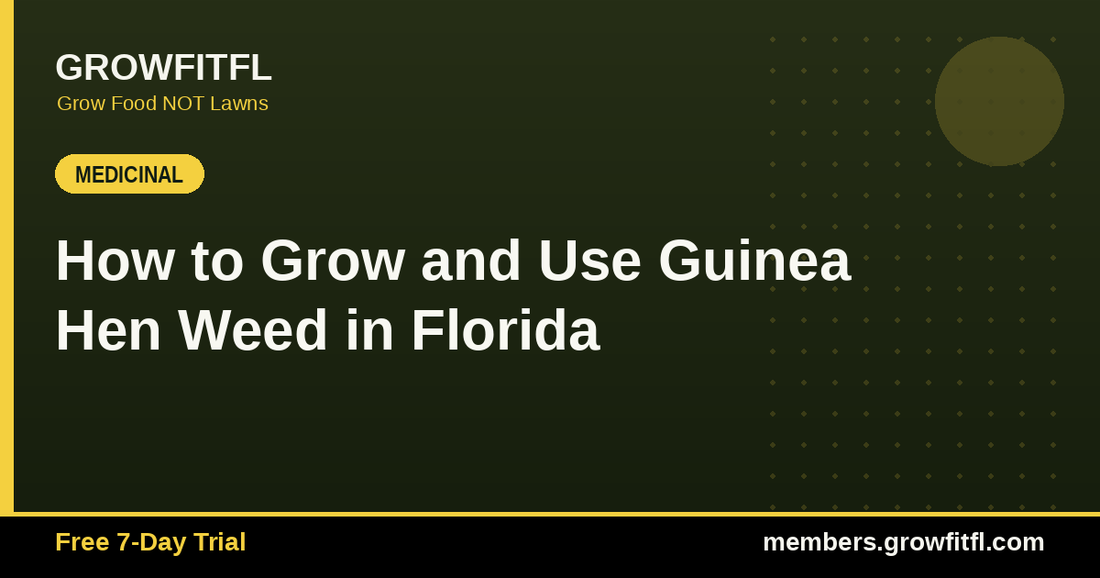 How to Grow and Use Guinea Hen Weed in Florida - GrowFitFL Florida gardening