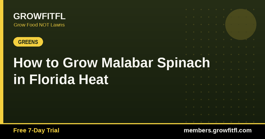 How to Grow Malabar Spinach in Florida Heat - GrowFitFL Florida gardening