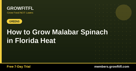 How to Grow Malabar Spinach in Florida Heat - GrowFitFL Florida gardening