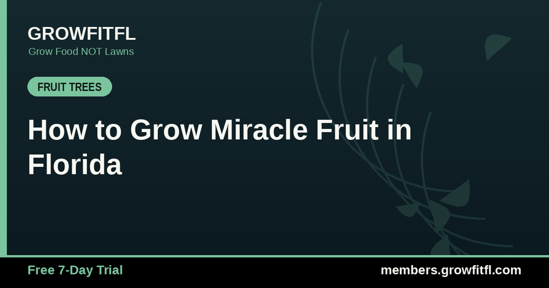 How to Grow Miracle Fruit in Florida - GrowFitFL Florida gardening
