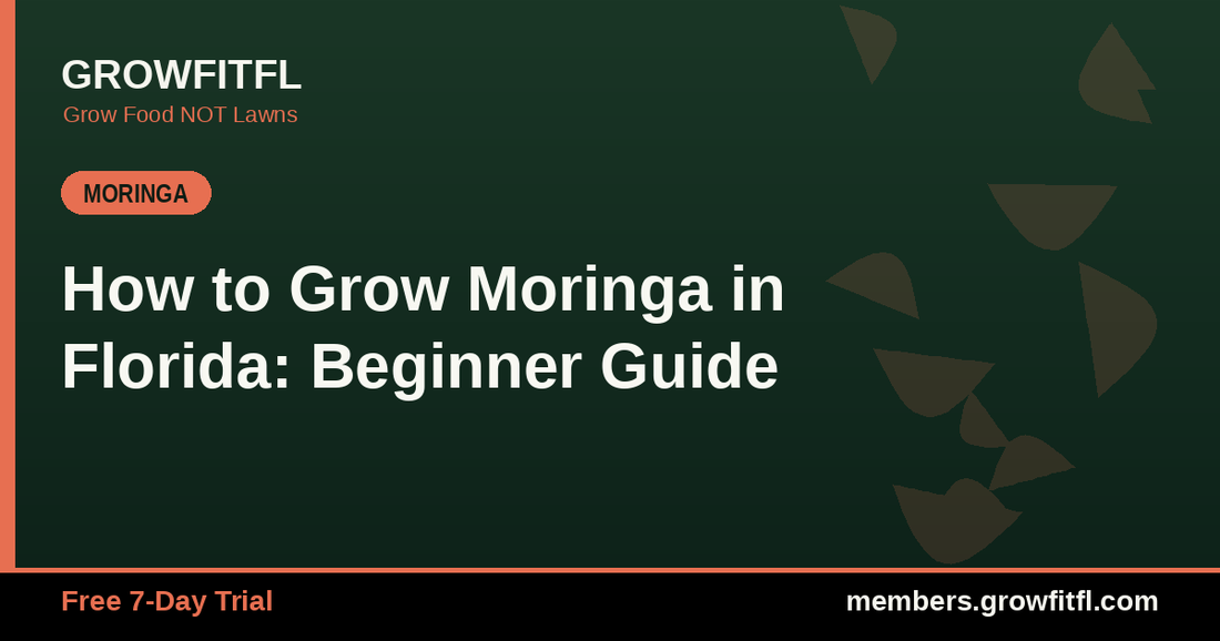 How to Grow Moringa in Florida: Beginner Guide - GrowFitFL Florida gardening