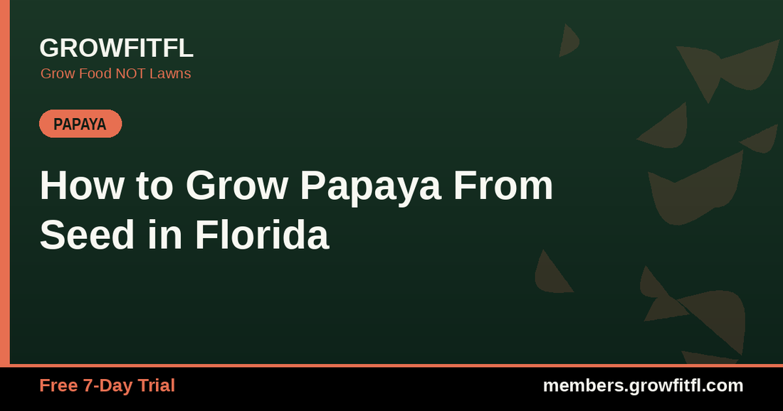 How to Grow Papaya From Seed in Florida - GrowFitFL Florida gardening