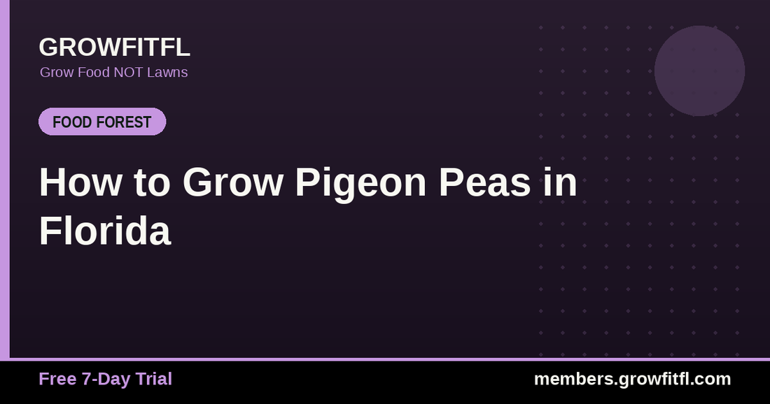 How to Grow Pigeon Peas in Florida - GrowFitFL Florida gardening