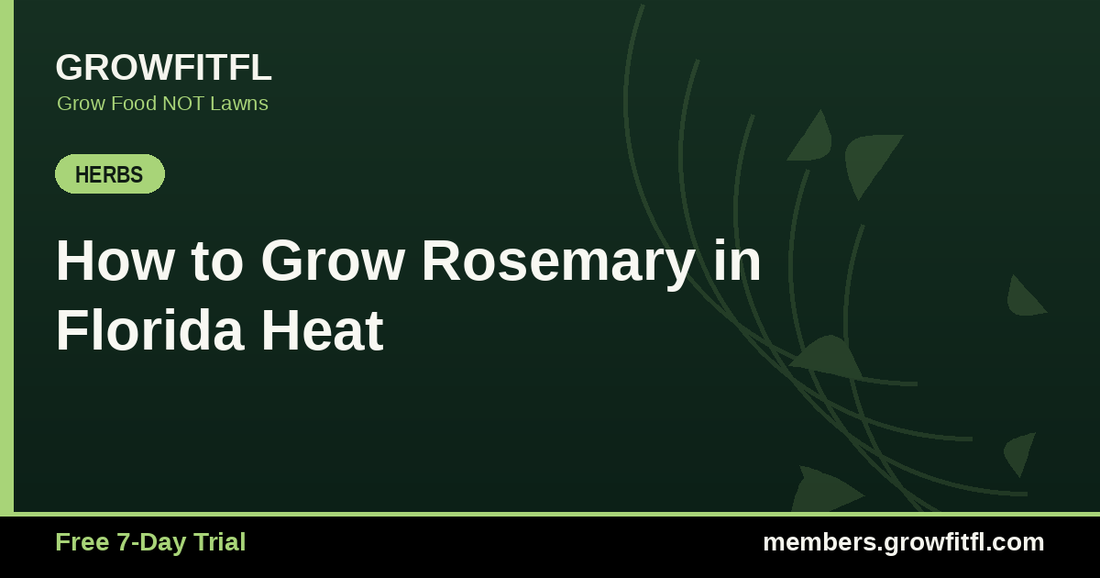 How to Grow Rosemary in Florida Heat - GrowFitFL Florida gardening