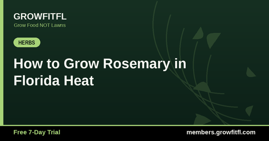 How to Grow Rosemary in Florida Heat - GrowFitFL Florida gardening