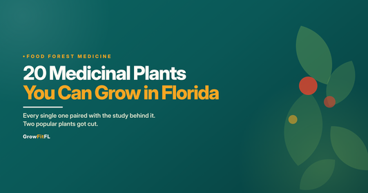 GrowFitFL cover graphic on a dark teal background reading 20 Medicinal Plants You Can Grow in Florida, with illustrated green leaves and red berries.