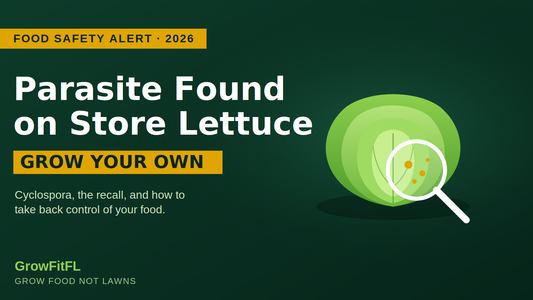 Bold green GrowFitFL graphic reading Parasite Found on Store Lettuce, Grow Your Own, with an illustrated head of lettuce under a magnifying glass showing tiny parasite dots.