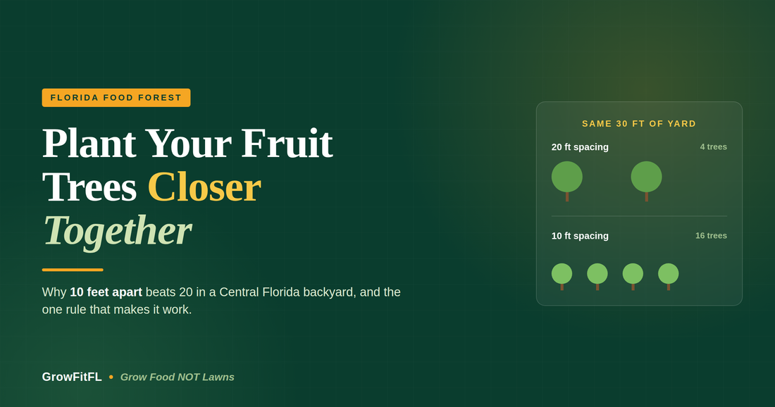GrowFitFL cover graphic on a dark green background reading Plant Your Fruit Trees Closer Together, with a diagram comparing four trees at 20 foot spacing to sixteen trees at 10 foot spacing in the same 30 feet of yard.