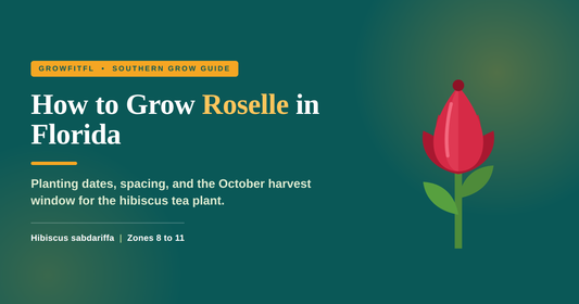 GrowFitFL cover graphic on a dark green background reading How to Grow Roselle in Florida, with an illustrated red roselle calyx on a green stem.