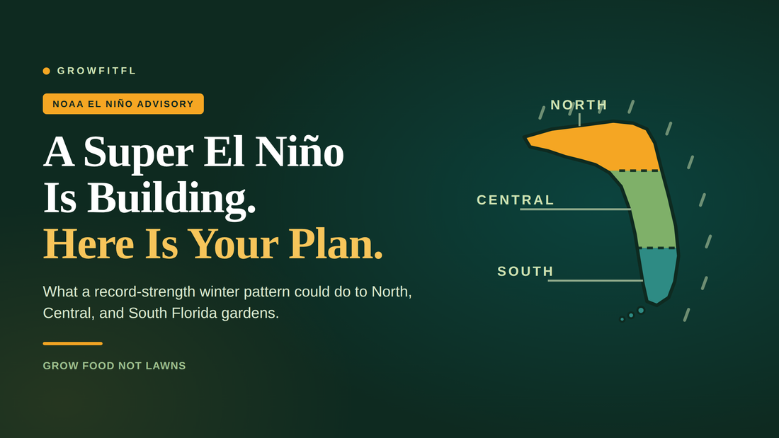 GrowFitFL cover graphic on a dark green background reading A Super El Nino Is Building, Here Is Your Plan, with a map of Florida split into gold North, green Central, and teal South regions under falling rain.