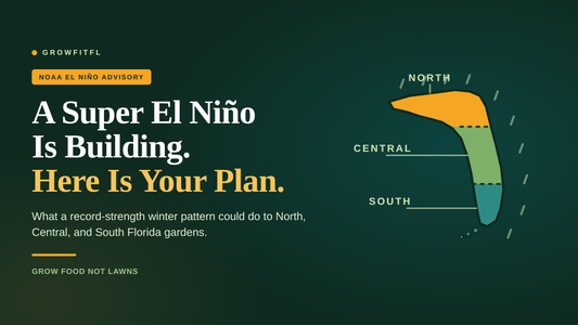 GrowFitFL cover graphic on a dark green background reading A Super El Nino Is Building, Here Is Your Plan, with a map of Florida split into gold North, green Central, and teal South regions under falling rain.