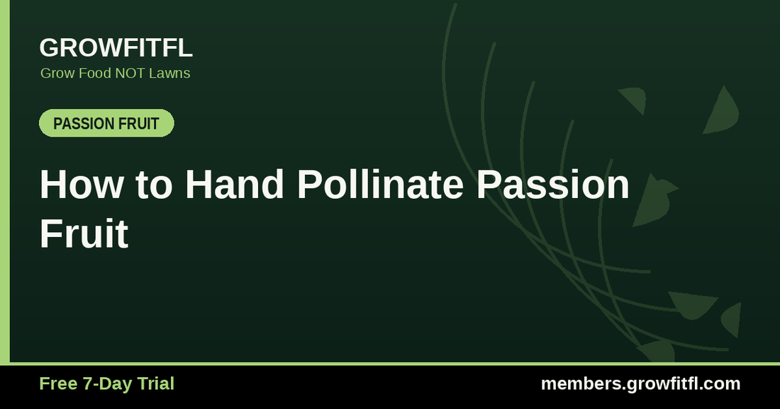 How to Hand Pollinate Passion Fruit - GrowFitFL Florida gardening
