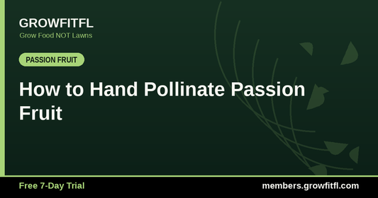 How to Hand Pollinate Passion Fruit - GrowFitFL Florida gardening