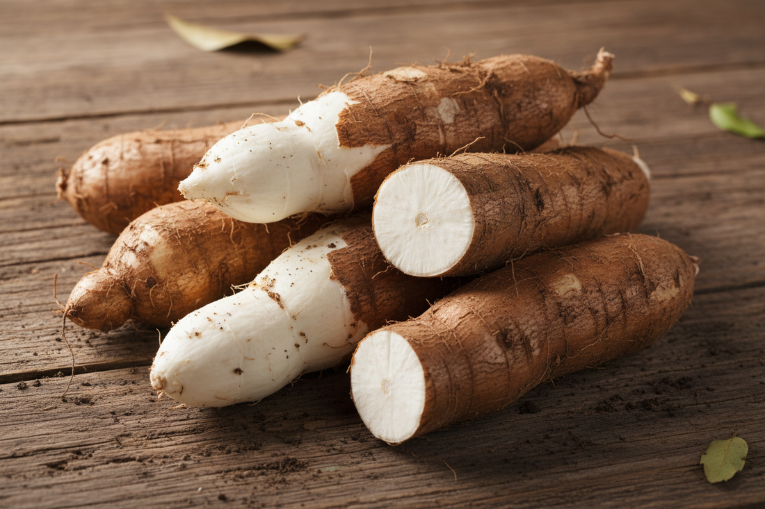 Growing Cassava in Florida: A Complete Guide for Zones 9-11