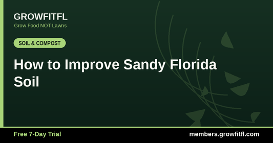 How to Improve Sandy Florida Soil - GrowFitFL Florida gardening