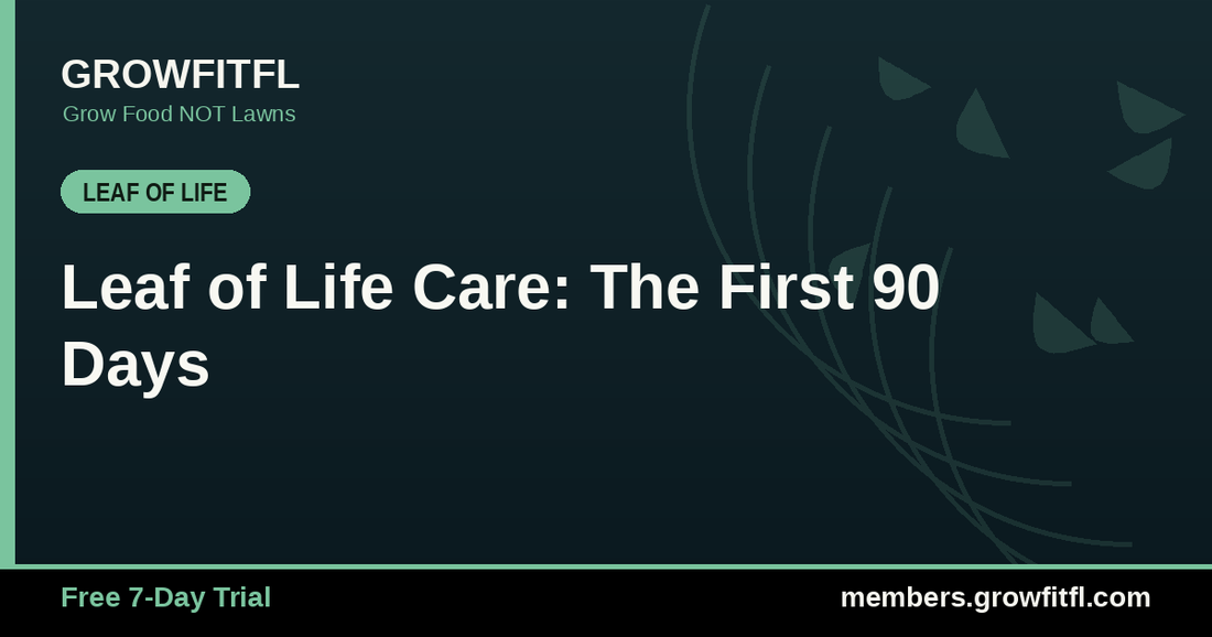 Leaf of Life Care: The First 90 Days - GrowFitFL Florida gardening