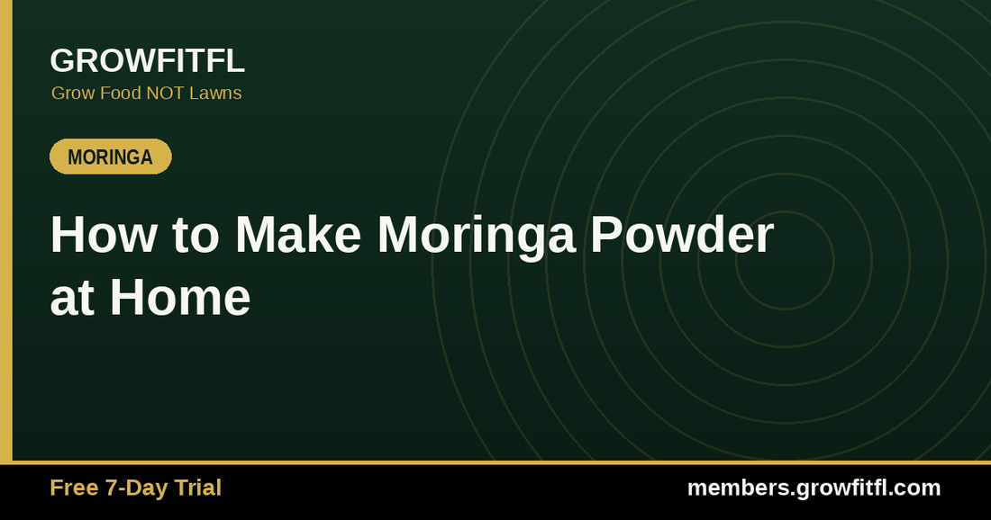 How to Make Moringa Powder at Home - GrowFitFL Florida gardening