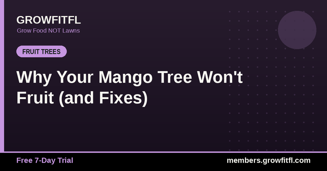 Why Your Mango Tree Won't Fruit (and Fixes) - GrowFitFL Florida gardening