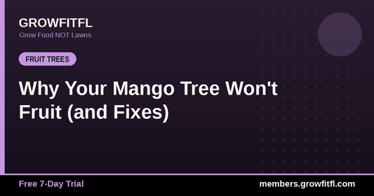 Why Your Mango Tree Won't Fruit (and Fixes) - GrowFitFL Florida gardening