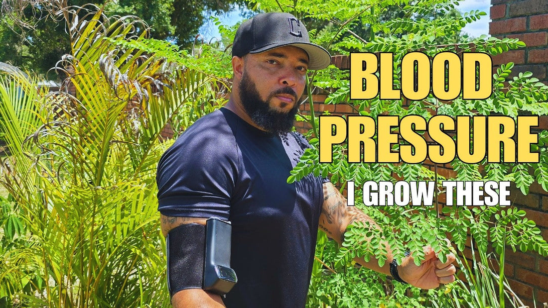 Jermaine from GrowFitFL talks about blood pressure and the garden