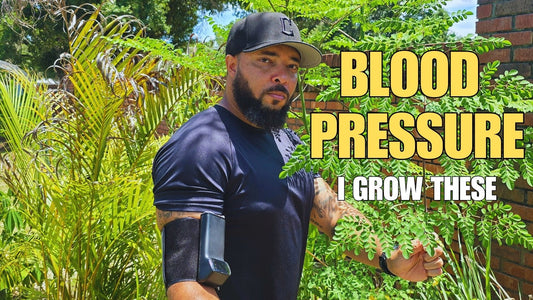 Jermaine from GrowFitFL talks about blood pressure and the garden