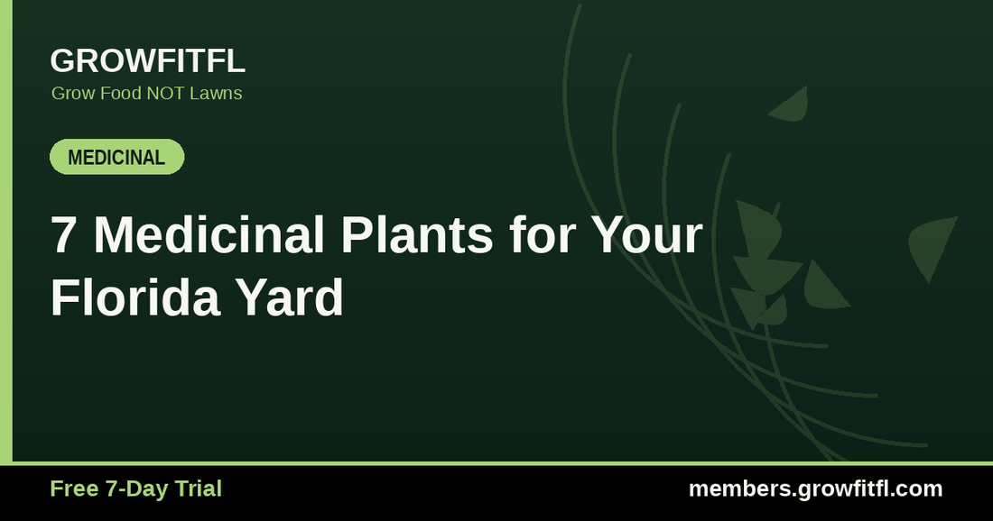 7 Medicinal Plants for Your Florida Yard - GrowFitFL Florida gardening