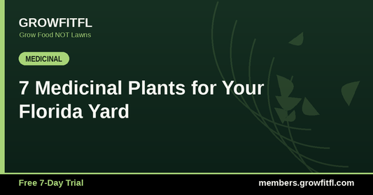 7 Medicinal Plants for Your Florida Yard - GrowFitFL Florida gardening