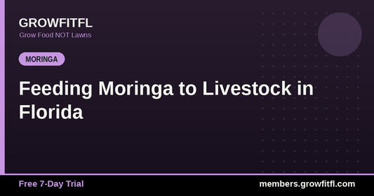 Feeding Moringa to Livestock in Florida - GrowFitFL Florida gardening