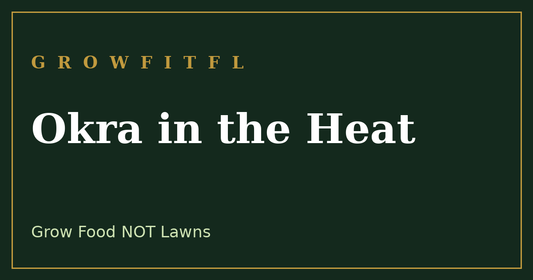 How to grow okra in Southern heat for months of harvest - GrowFitFL Florida gardening