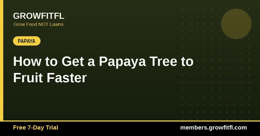 How to Get a Papaya Tree to Fruit Faster - GrowFitFL Florida gardening