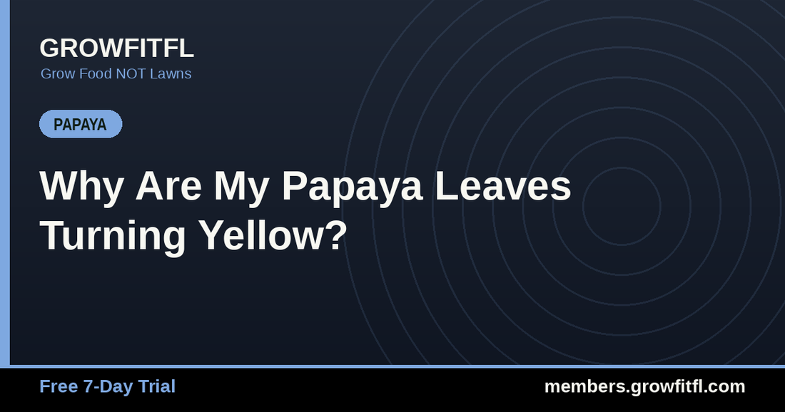 Why Are My Papaya Leaves Turning Yellow? - GrowFitFL Florida gardening