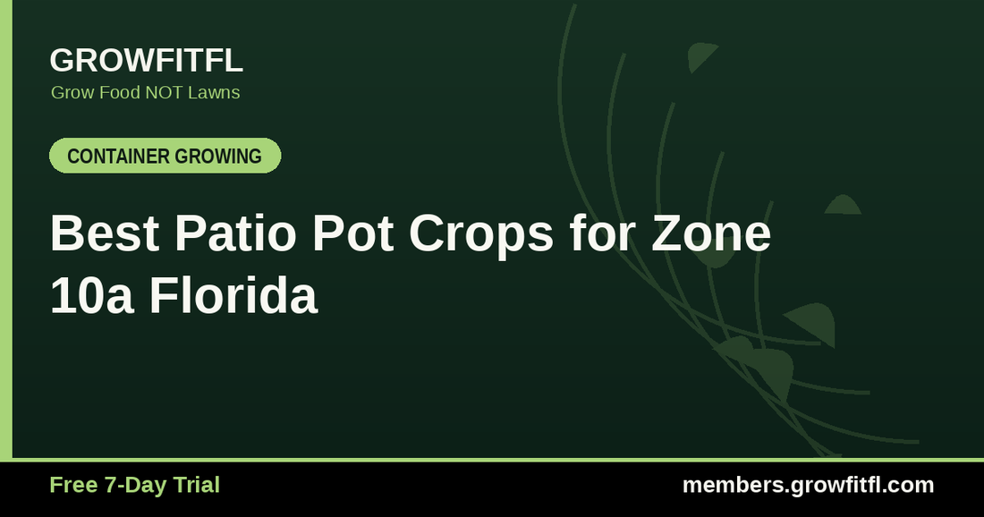 Best Patio Pot Crops for Zone 10a Florida - GrowFitFL Florida gardening