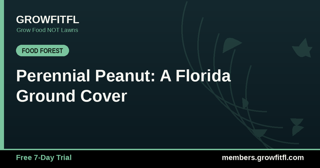 Perennial Peanut: A Florida Ground Cover - GrowFitFL Florida gardening