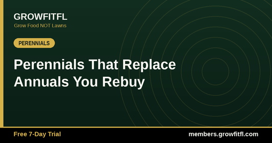 Perennials That Replace Annuals You Rebuy - GrowFitFL Florida gardening