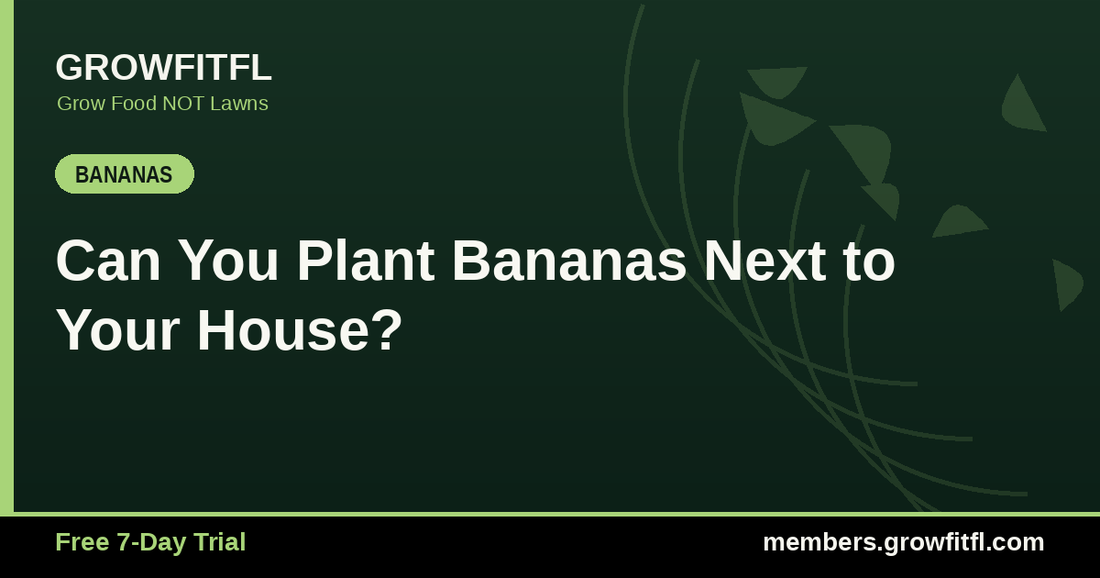Can You Plant Bananas Next to Your House? - GrowFitFL Florida gardening