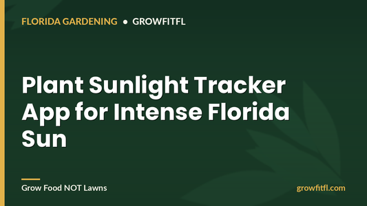 Plant Sunlight Tracker App for Intense Florida Sun - GrowFitFL Florida gardening