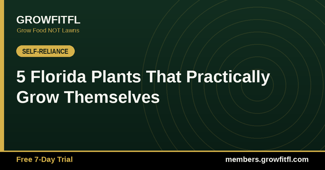 5 Florida Plants That Practically Grow Themselves - GrowFitFL Florida gardening
