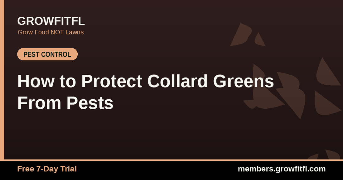 How to Protect Collard Greens From Pests - GrowFitFL Florida gardening