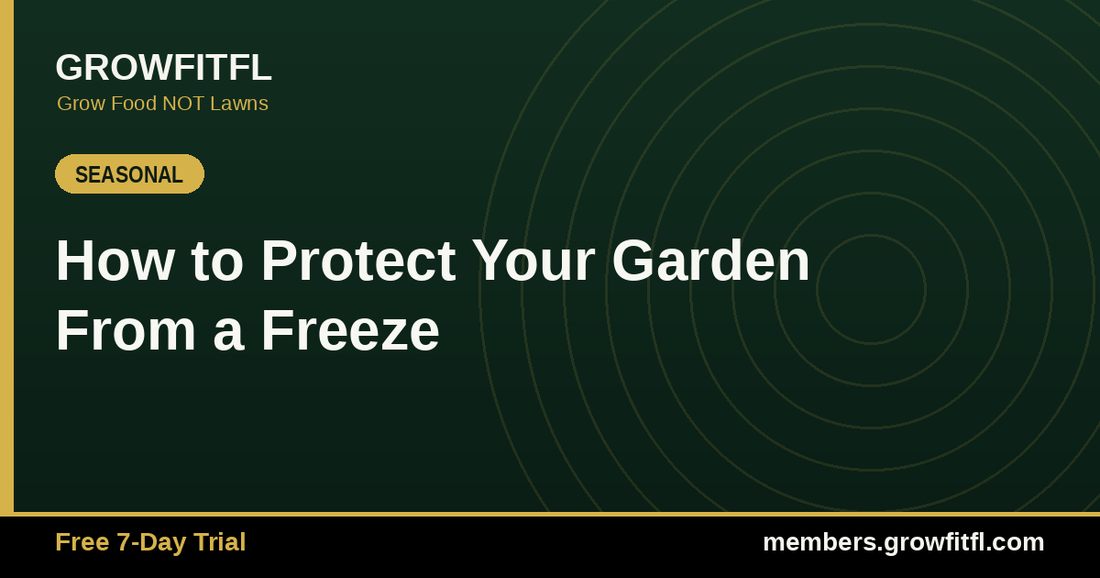 How to Protect Your Garden From a Freeze - GrowFitFL Florida gardening