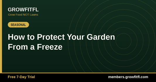 How to Protect Your Garden From a Freeze - GrowFitFL Florida gardening