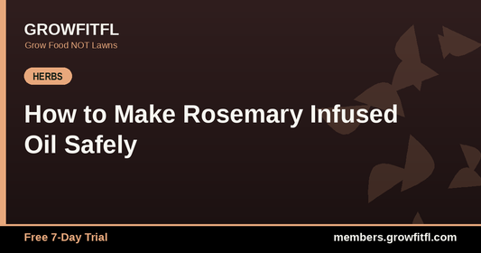 How to Make Rosemary Infused Oil Safely - GrowFitFL Florida gardening