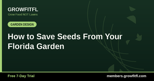 How to Save Seeds From Your Florida Garden - GrowFitFL Florida gardening