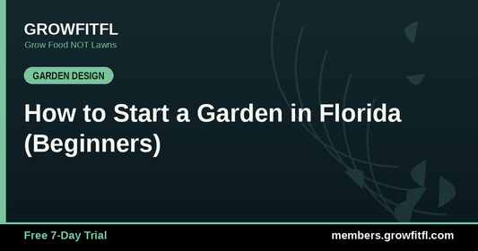 How to Start a Garden in Florida (Beginners) - GrowFitFL Florida gardening