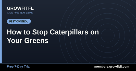 How to Stop Caterpillars on Your Greens - GrowFitFL Florida gardening