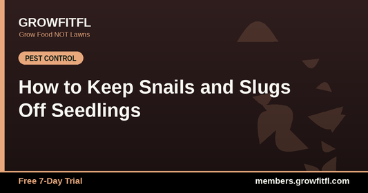 How to Keep Snails and Slugs Off Seedlings - GrowFitFL Florida gardening