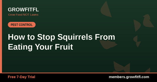 How to Stop Squirrels From Eating Your Fruit - GrowFitFL Florida gardening