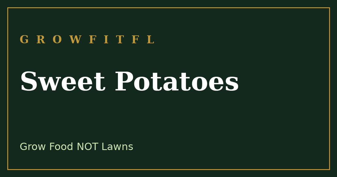 How to grow sweet potatoes in the South, a hard to kill staple crop - GrowFitFL Florida gardening