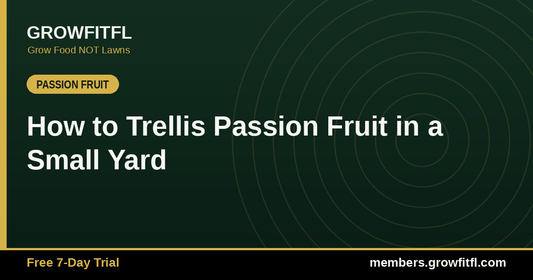 How to Trellis Passion Fruit in a Small Yard - GrowFitFL Florida gardening