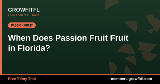 When Does Passion Fruit Fruit in Florida? - GrowFitFL Florida gardening