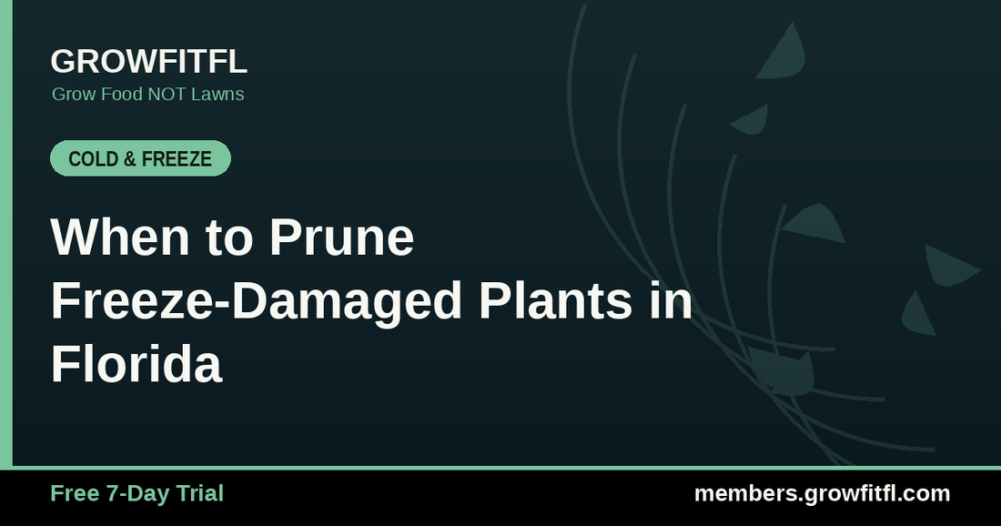 When to Prune Freeze-Damaged Plants in Florida - GrowFitFL Florida gardening